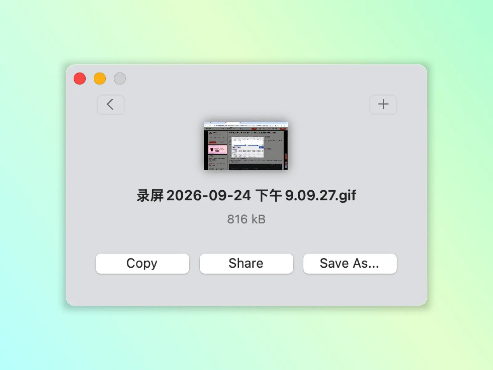 Gifski 界面 3