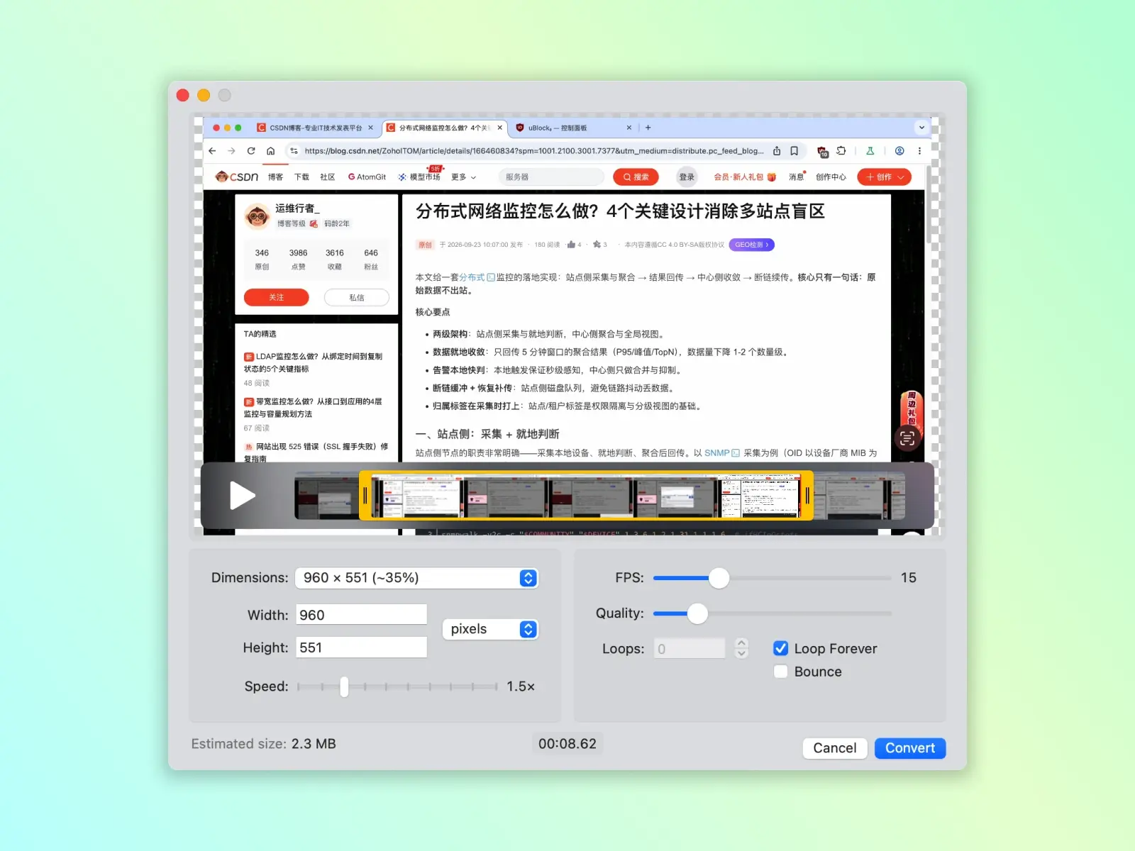 Gifski 界面 2